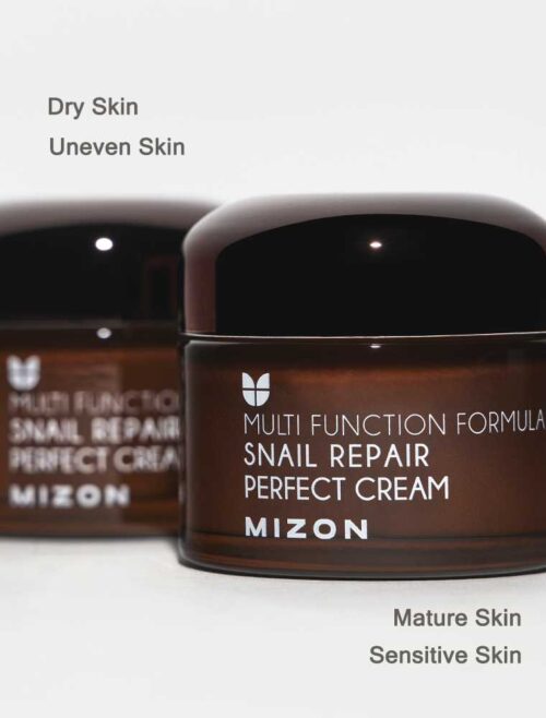 کرم ترمیم کننده حلزون ( MIZON - Snail Repair Perfect Cream ) - Image 2